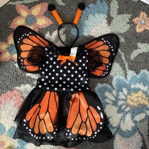 4T Butterfly Halloween Costume!
